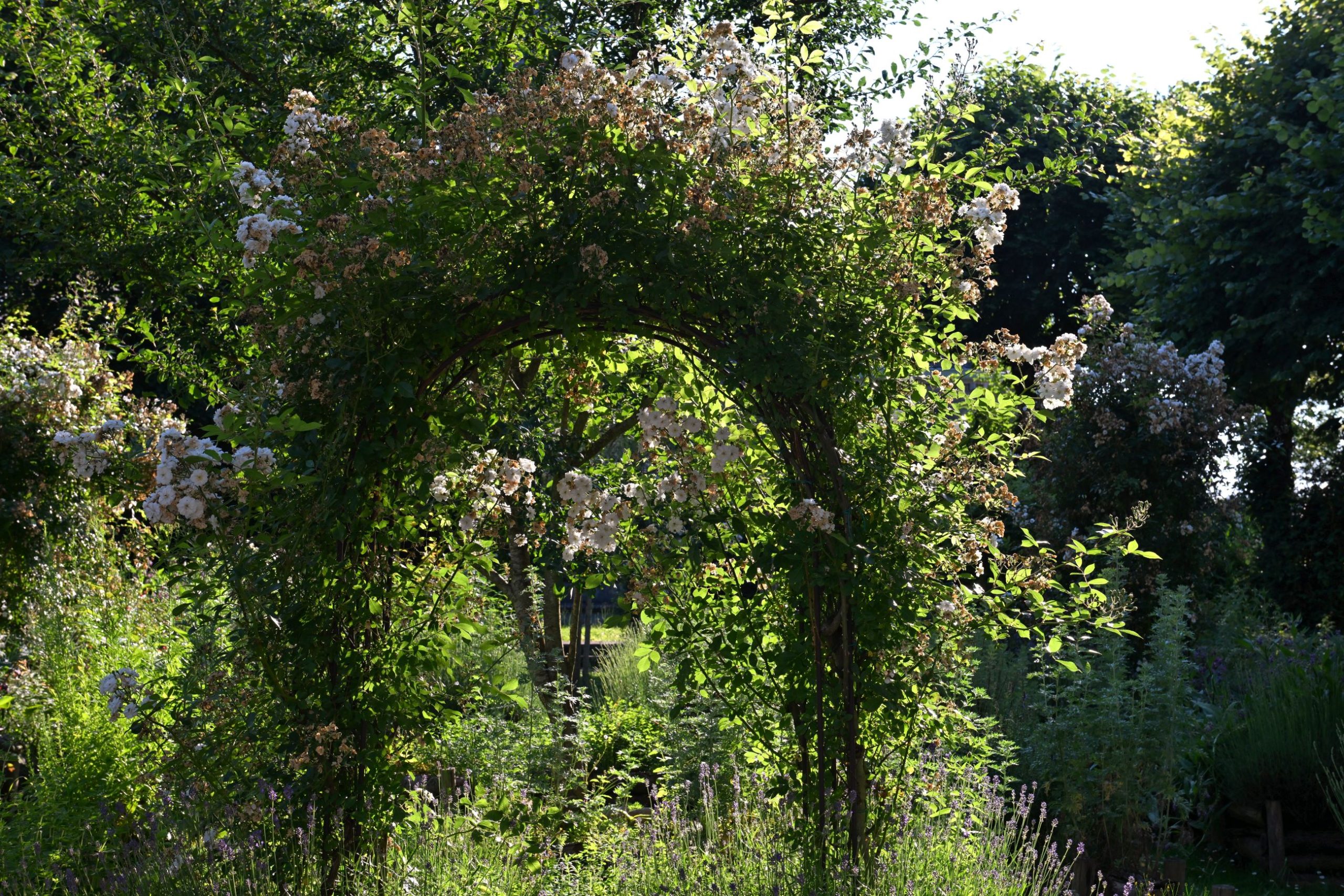 Domaine du Château de Leignon