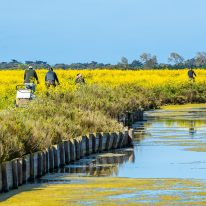 hp mobile fev 25 paysdelaloire compresse