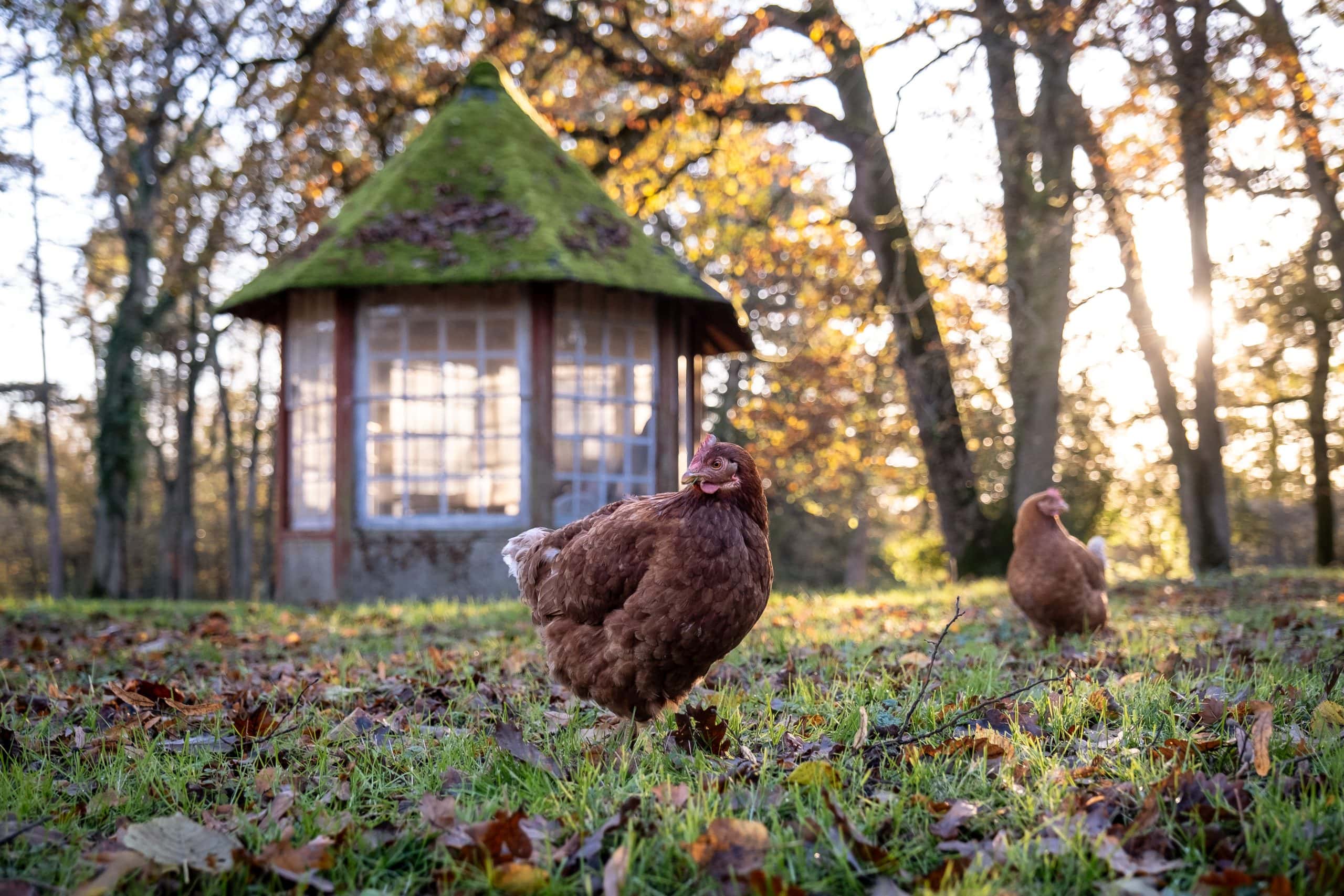 Château de l’Aubrière