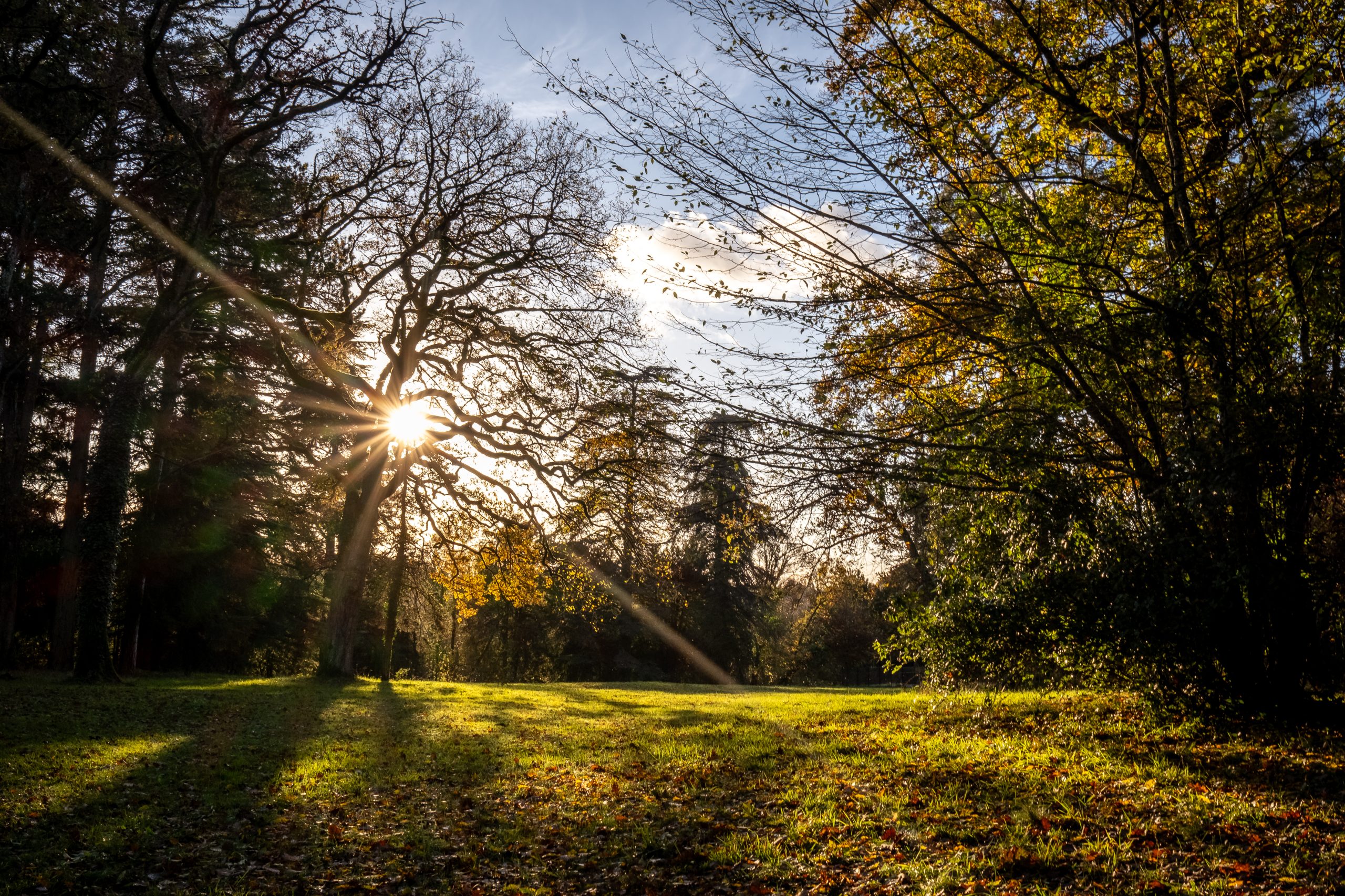 Château de l’Aubrière