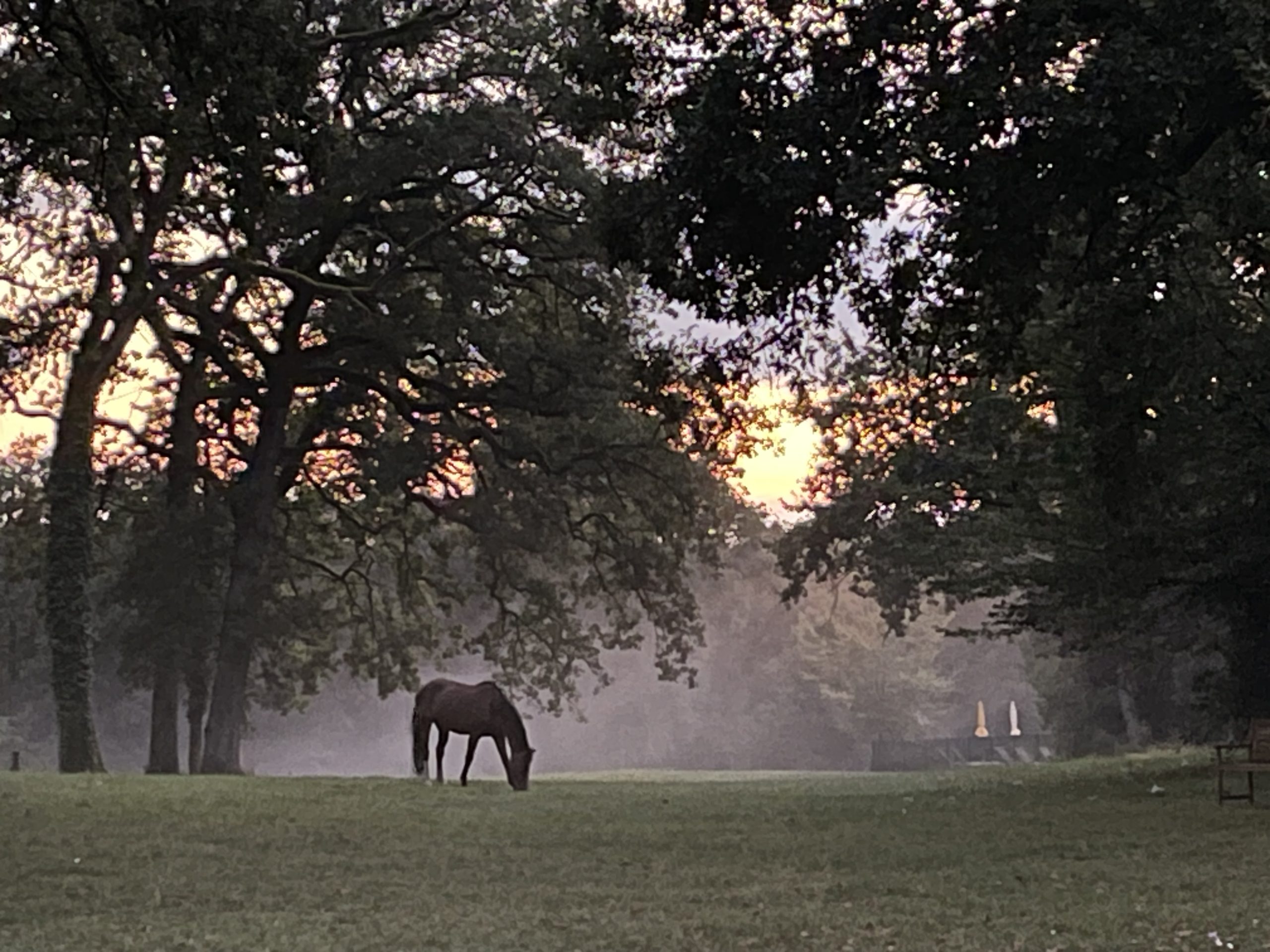 Château de l’Aubrière