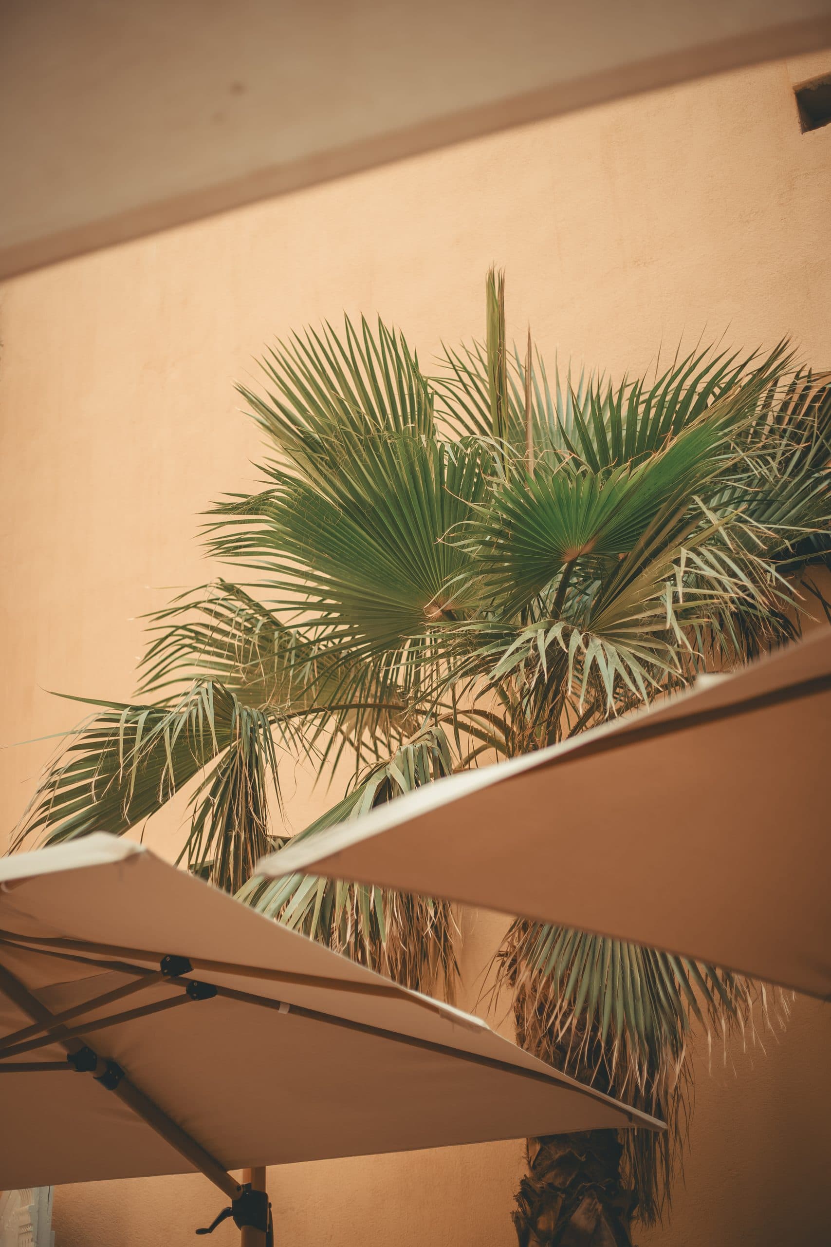 La Maison des Lamanon