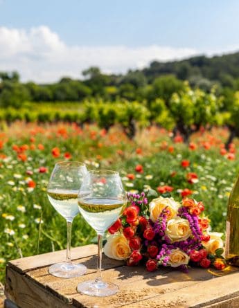 Région Occitanie design sans titre