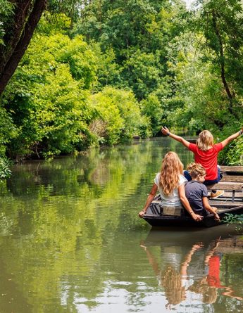 Région Occitanie vignette region vendee compresse