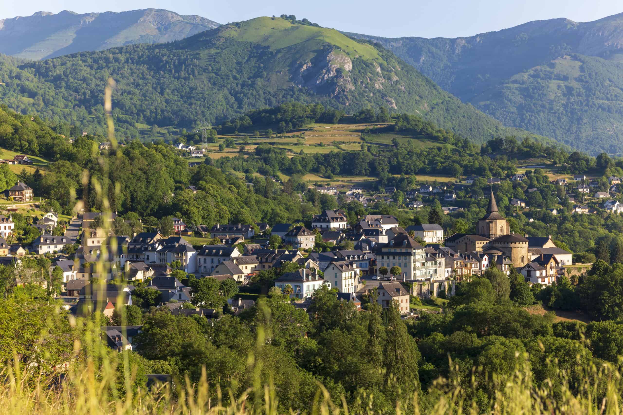 Le Viscos