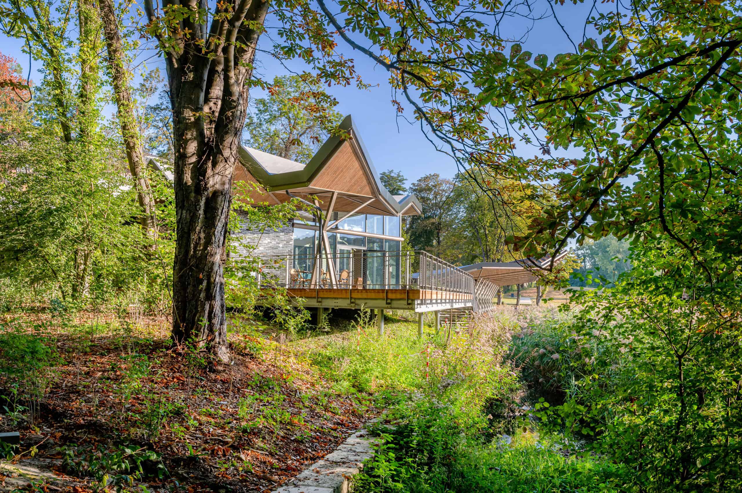 Les Roseaux, Restaurant du Hangar Y