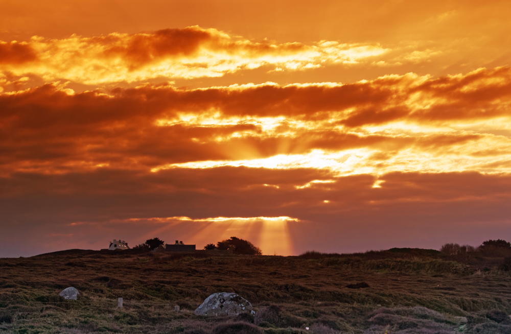 Finistère, dove la terra incontra l'oceano reserve cap sizun shutterstock 1251256606 bensliman hassan