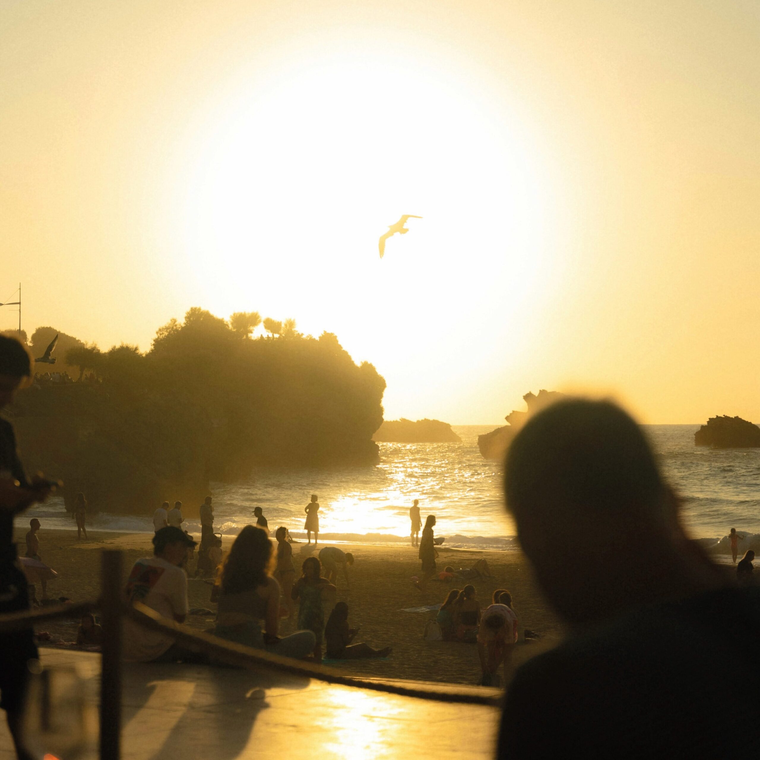 Escapade citadine Biarritz