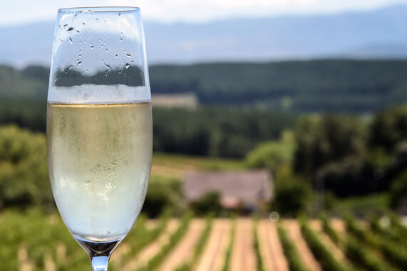 Aisne : art de vivre en Hauts-de-France verre de champagne shutterstock 702022069 lux blue edited
