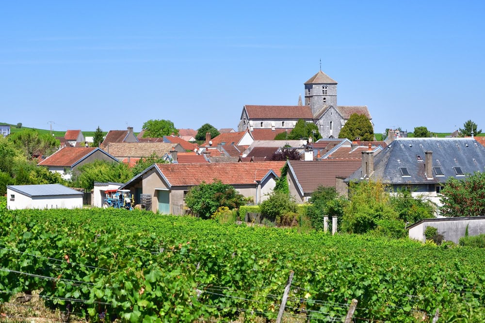 Voie des Vignes à vélo en Bourgogne nuits saint
