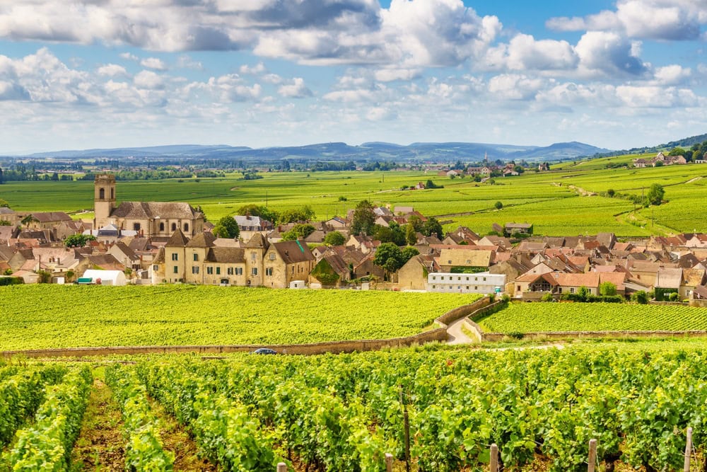 Voie des Vignes à vélo en Bourgogne