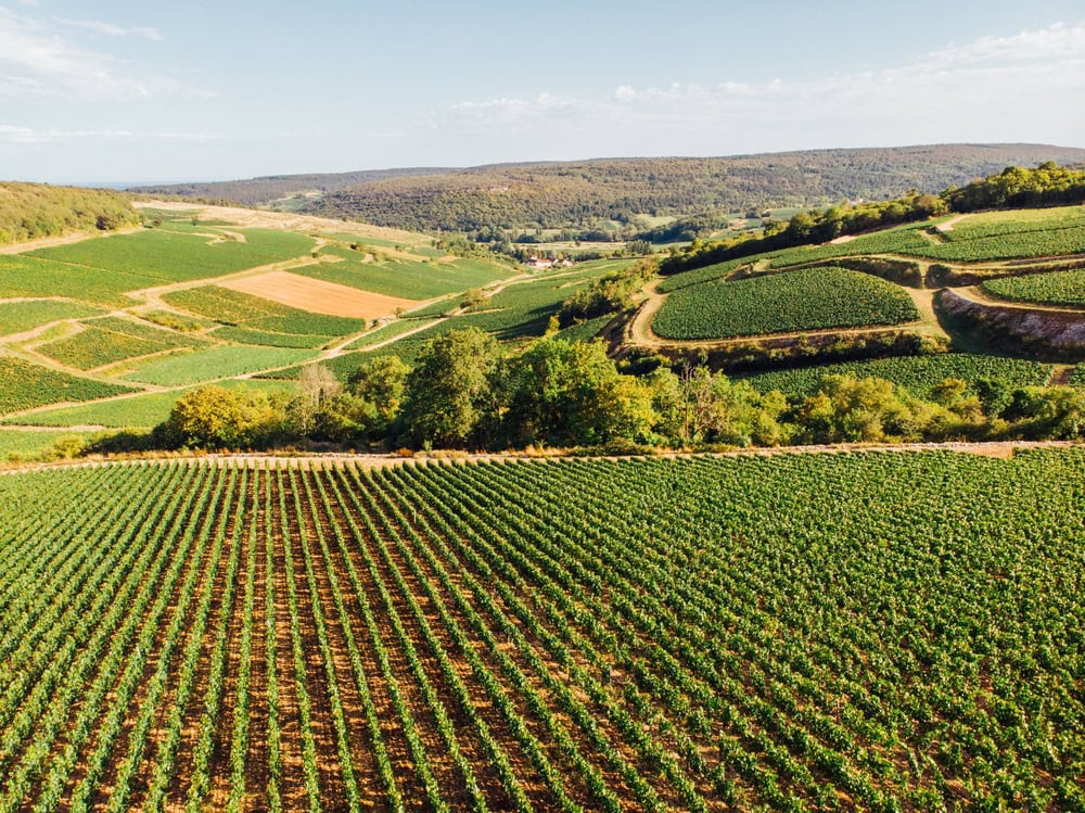 Voie des Vignes à vélo en Bourgogne viticulture cote dor shutterstock 2351480975 david bise