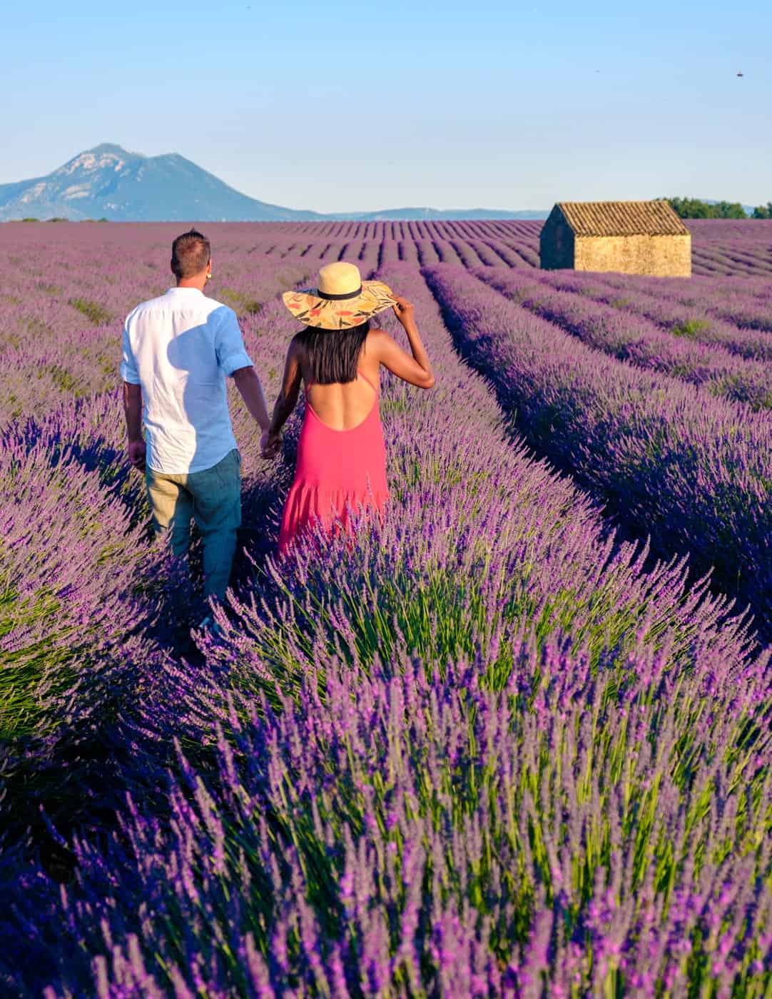fête de la lavande à valensole