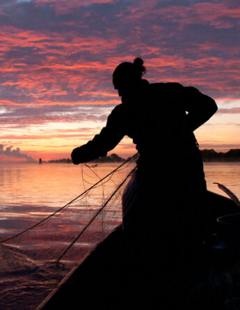 la bourriche aux appetits