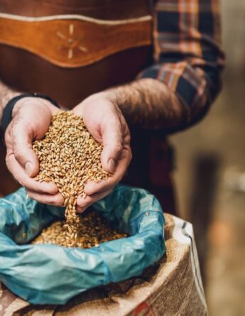 shutterstock 2290074157