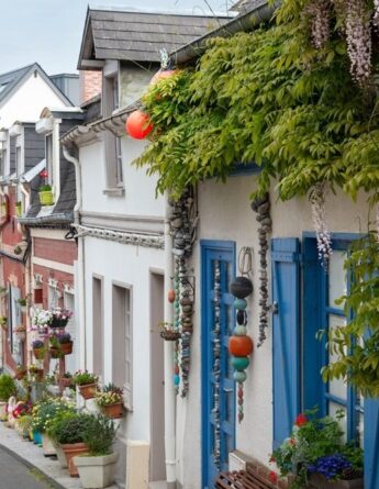 6c31fe50 a68e 4f5e ad8d 1b2f5cdbdb44