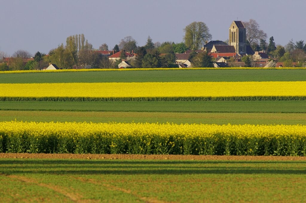 Itinéraire impressionniste France champs vers auvers © institut van gogh – photographe erik hesmerg 1