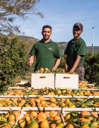 jardins de la testa cpour de bon