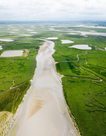 c86e14c7 e2e4 4fbc 9611 bedd533bf777