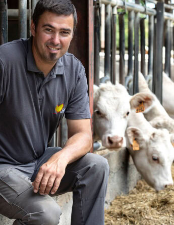 coeur de grange region pays de la loire