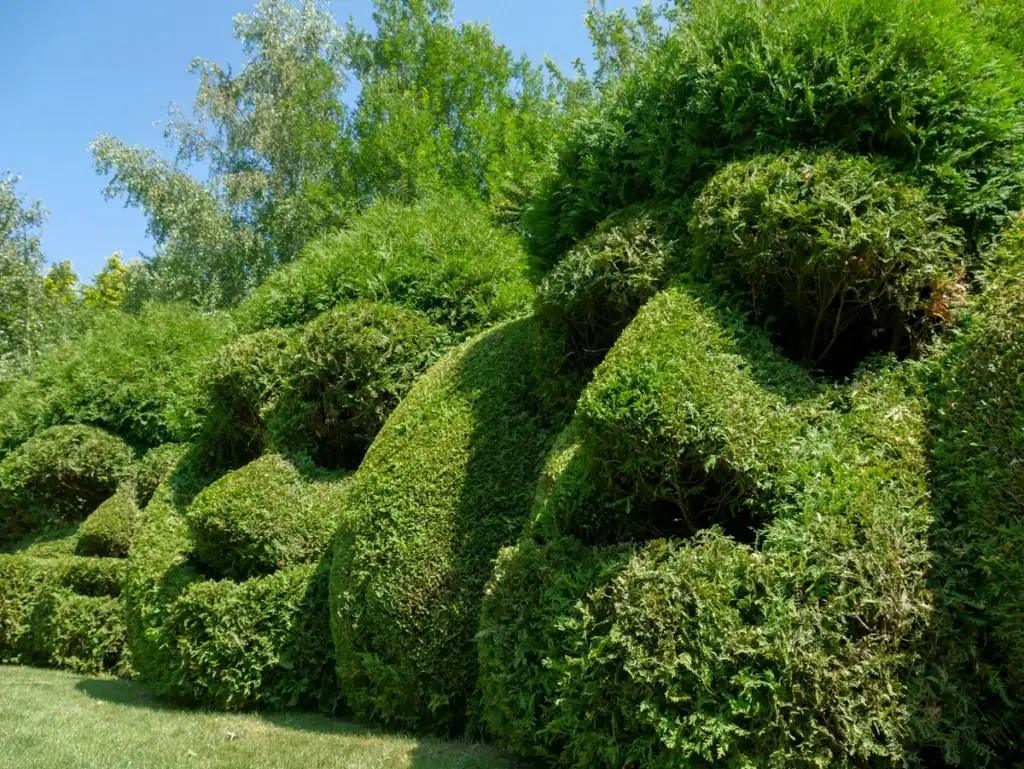 Région Hauts-de-France sculpture vegetale
