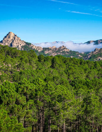 shutterstock 1904231116 cemel malms punta di u diamante alta rocca corse