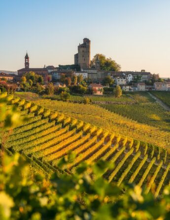 shutterstock 2083797820 cessevu belles collines et vignobles en automne autour du village de serralunga dalba. dans la region des langhe cuneo piemont italie