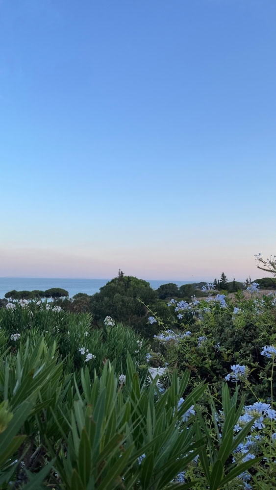 fête de la nature à porto-vecchio