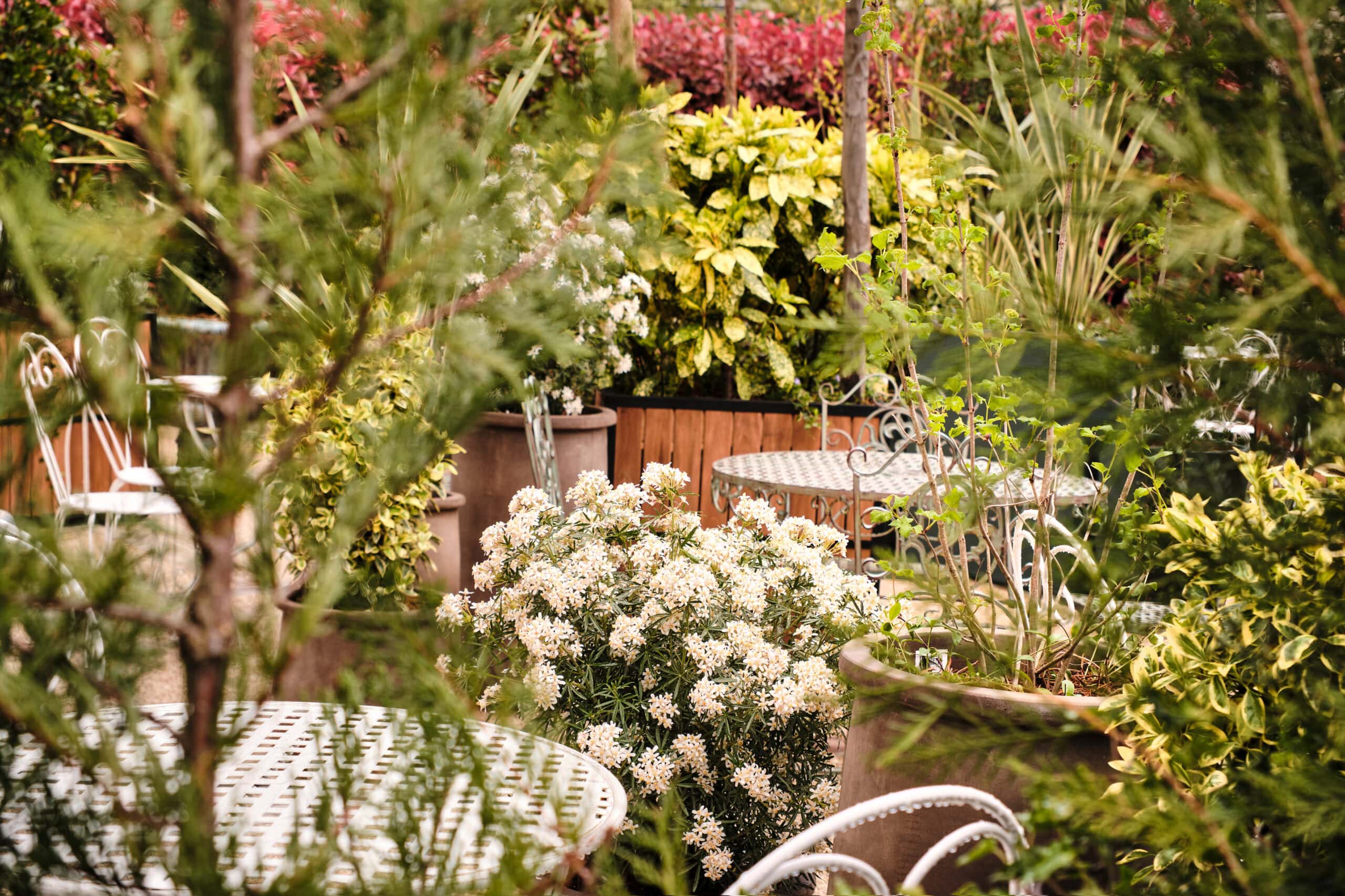 Maleyssie La Brasserie