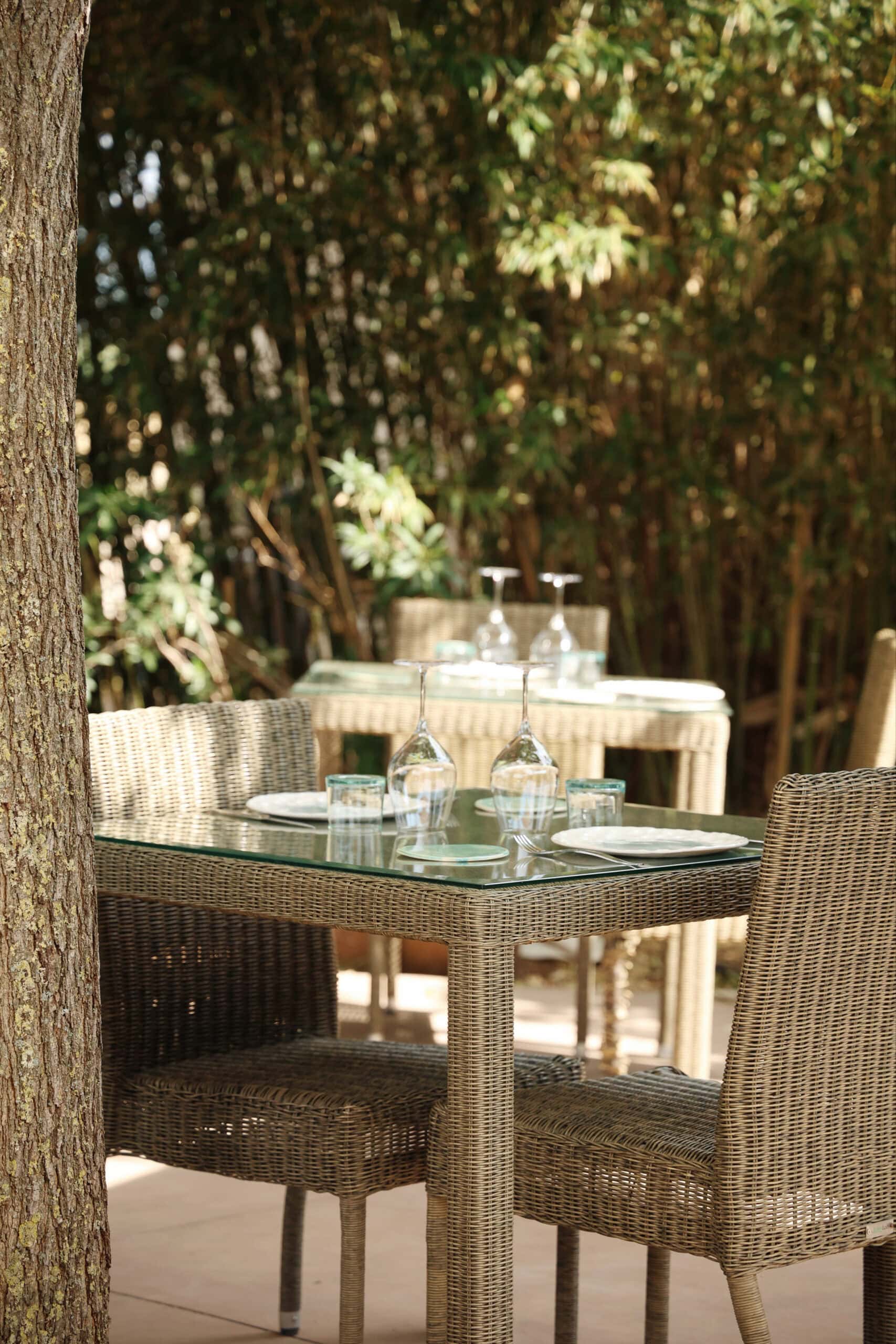 Restaurant Terre de Mistral