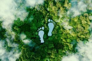Comment devenir un voyageur éclairé ?
