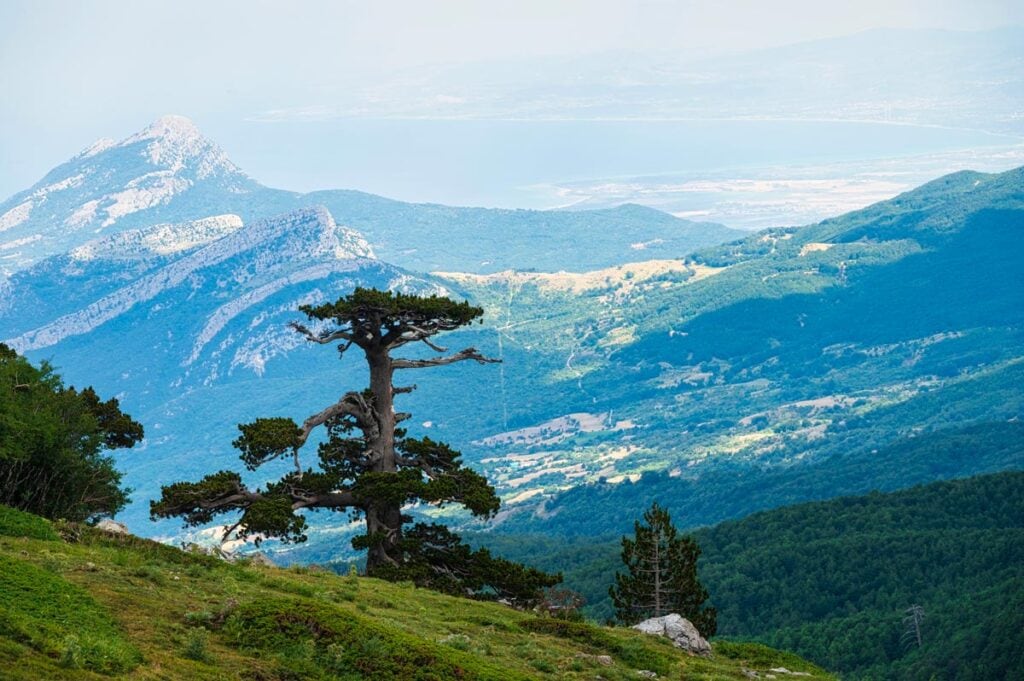 shutterstock 2194431783 moreno01 nature landscape from the garden of the gods inside pollino national park