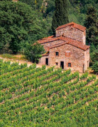shutterstock 2265593507 ©svetlanasf traditional old stone house at a vineyard amongst the grape vines in the famous chianti wine region of tuscany italy