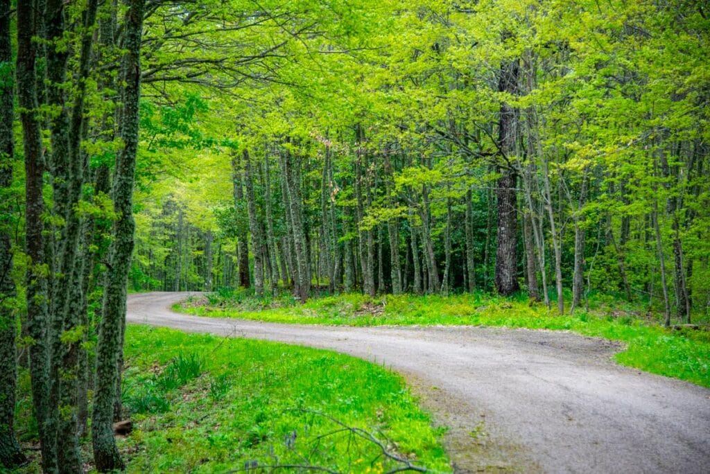 shutterstock 2329481263 adwo gallipoli cognato regional park italy