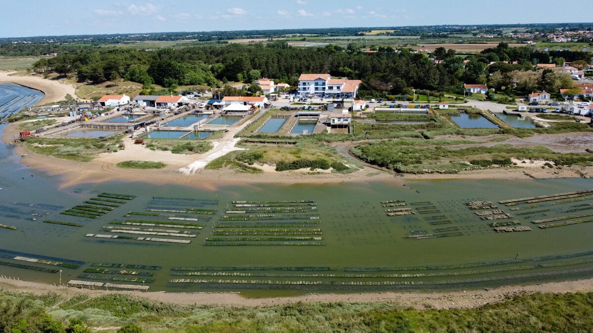 Domaine Les Clayères