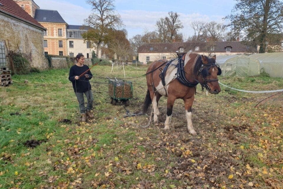 visuel microferme essarts comp