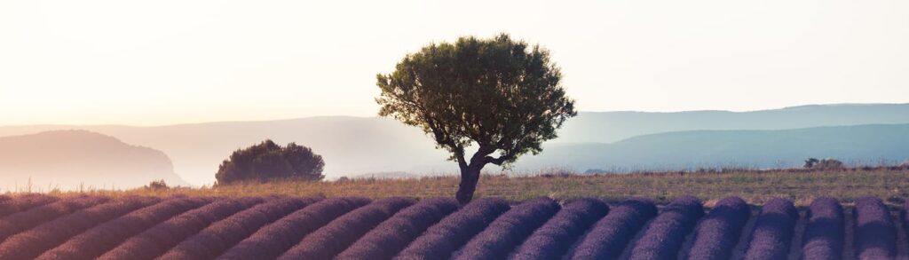 Programme de fidélité Teritoria visuel paca fidelite 1536x439 comp