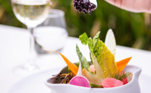 Coffret-171-3926-CafeJacques-910×780